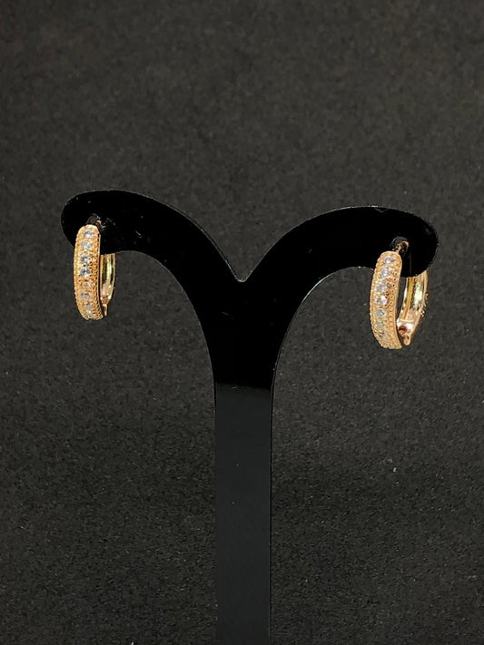 Elegance Earrings